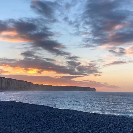 Cap Babord - L'oiseau D'or Au Bord De *