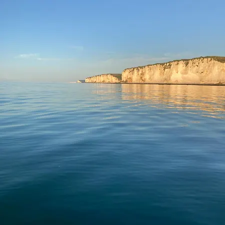 Cap Babord - L'oiseau D'or Au Bord De Fécamp