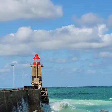 Cap Babord - L'oiseau D'or Au Bord De