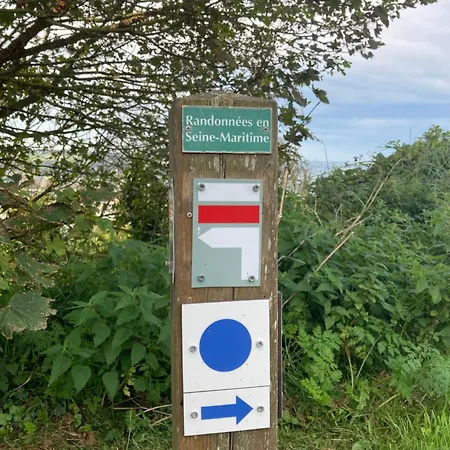 Cap Babord - L'oiseau D'or Au Bord De